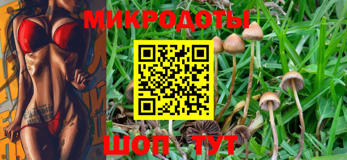 Галлюциногенные грибы мухоморы Отрадный