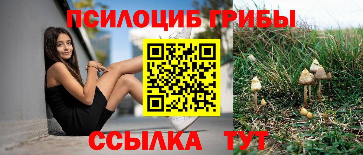 Псилоцибиновые грибы мицелий  Вход с VPN  Отрадный 