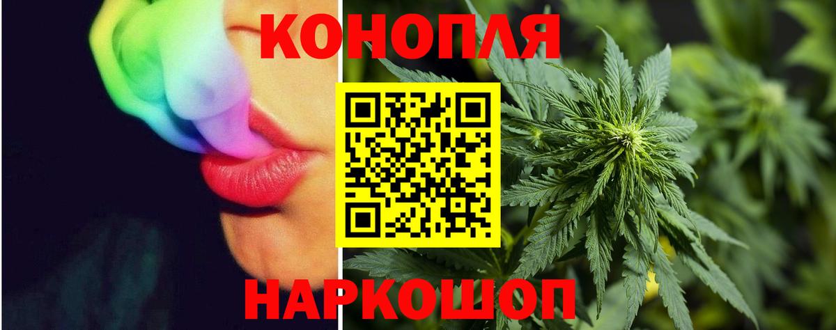 Канабис AK-47 Отрадный